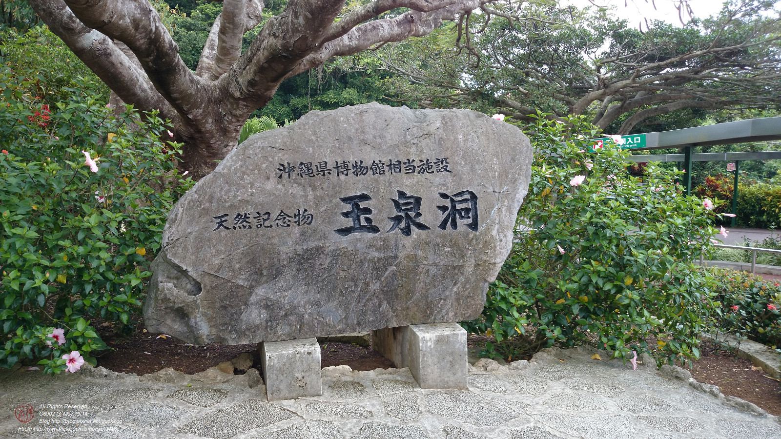 DSC_2946.jpg